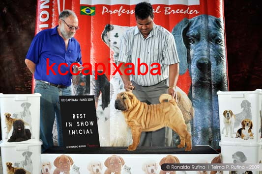 Clique sobre a foto para fechar